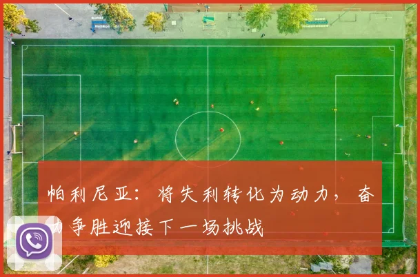 帕利尼亚：将失利转化为动力，奋力争胜迎接下一场挑战