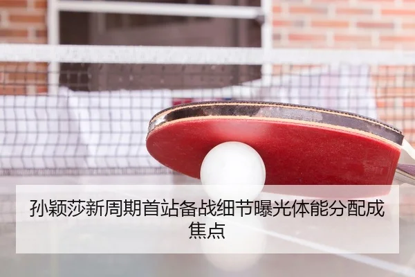 孙颖莎新周期首站备战细节曝光体能分配成焦点（huaqiuapp）